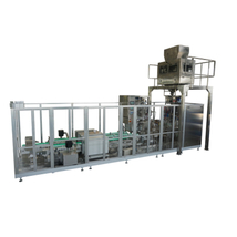 ZB500N/500N2 fully automatic brick bag vacuum packaging machine