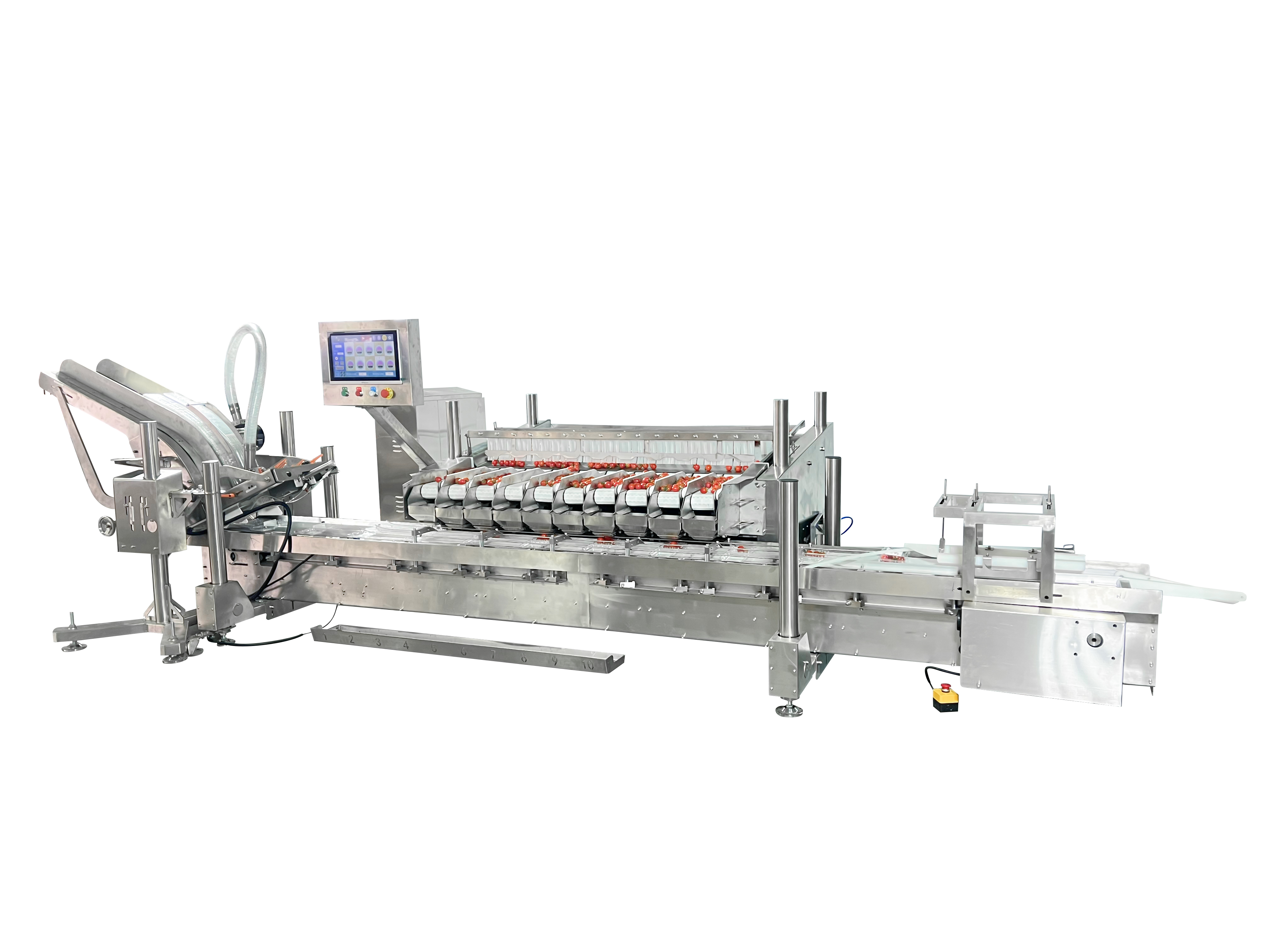 Berry automatic packing machine