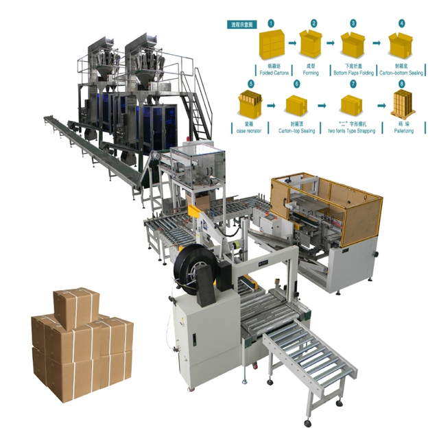 Automatic Case Packing Line
