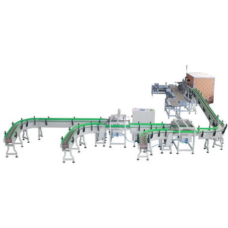 Fully Automatic Bag in Carton Packing Line 