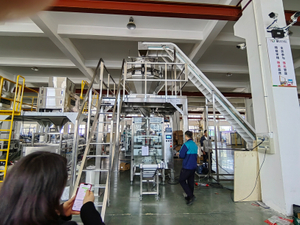 Multihead Weigher + Vertical Packaging Machine Combo | Auto Combination Scale System for Pet Food & Fertilizer‌