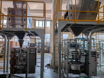 All-in-One Granule Packager | 100g-5000g with Interchangeable Pillow/Gusset/Perforated Bag Units