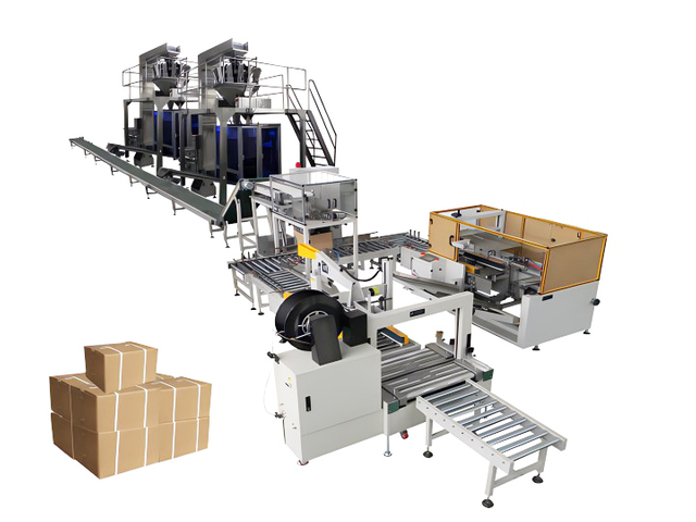 Automatic case packing line